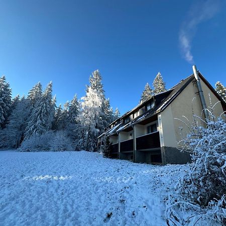 Waldhotel Zoebischhaus Bad Reiboldsgruen Ngoại thất bức ảnh